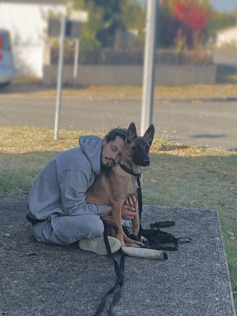 chiot malinois et maître