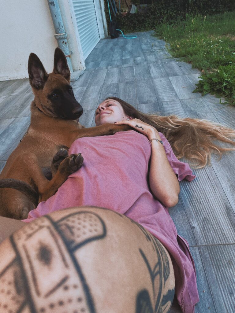 malinois chiot et sa maman